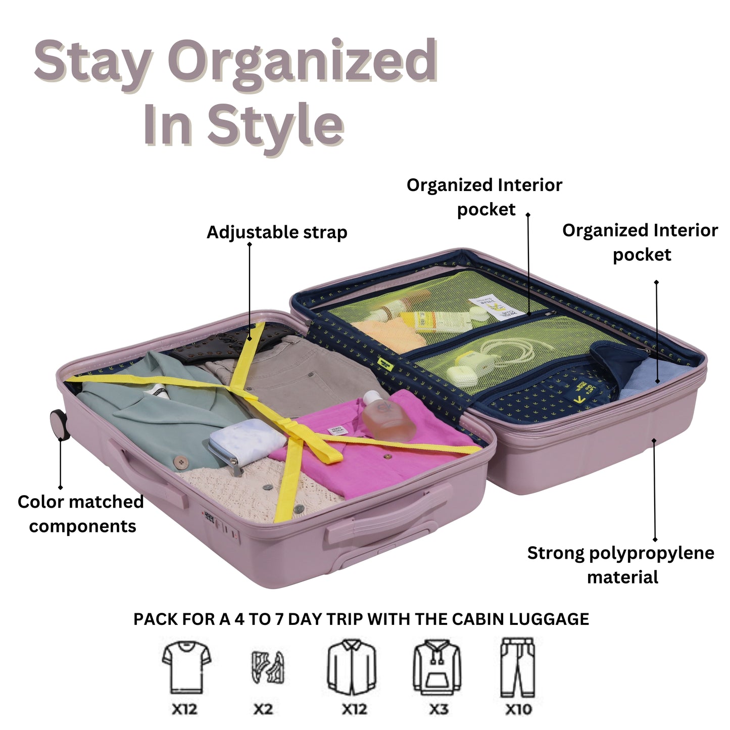 The Moscow Pink Luggage