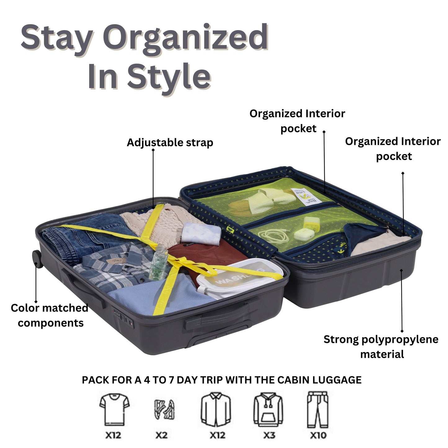 The Moscow Grey Luggage