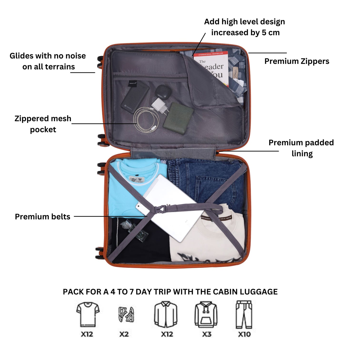 The Mustang - Large Check-in